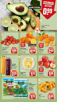 Obst im aktuellen REWE Prospekt (Essen) Obst im REWE Prospekt "Dein Markt" mit 24 Seiten (Essen)