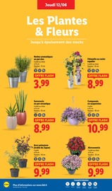 Catalogue Lidl en cours à Calais, "Fan de l'été", Page 28