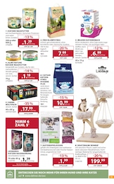Dehner Garten-Center Katzenfutter im Prospekt 