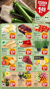 Zucchini im aktuellen REWE Prospekt (Mannheim) Zucchini im REWE Prospekt "Dein Markt" mit 18 Seiten (Mannheim)