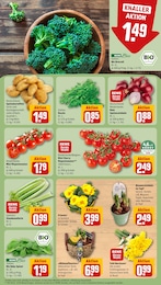 REWE Kartoffeln im Prospekt 