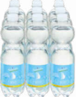 Aktuelles Mineralwasser Angebot bei Netto Marken-Discount in Wolfsburg ab 1,35 €