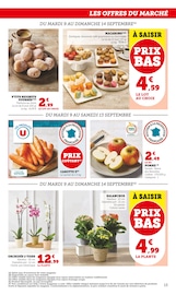 Orchidée Angebote im Prospekt "U Express" von U Express auf Seite 13