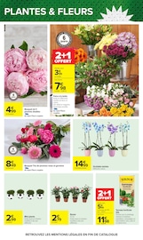 Terreau en promo dans le catalogue Carrefour à la page 59