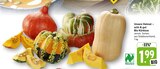 Bio Kürbisse im Angebot bei E center in Bad Kreuznach Bio Kürbisse Angebote von Unsere Heimat – echt & gut bei E center Bad Kreuznach für 1,99 €