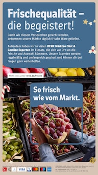 Lamm Angebot im aktuellen REWE Prospekt auf Seite 20