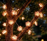 Solar-Lichterkette im Angebot bei toom Baumarkt in Hennef Solar-Lichterkette Angebote bei toom Baumarkt Hennef für 7,99 €