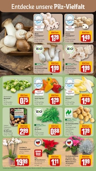 Zimmerpflanzen im aktuellen REWE Prospekt (Nürnberg) Zimmerpflanzen im REWE Prospekt "Dein Markt" mit 16 Seiten (Nürnberg)