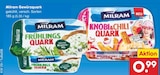 Frühlings Quark im Angebot bei Netto Marken-Discount in Singen Frühlings Quark Angebote von Milram bei Netto Marken-Discount Singen für 0,99 €