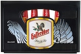 Premium Pils Angebote von Hasseröder bei REWE Vechelde für 8,99 €