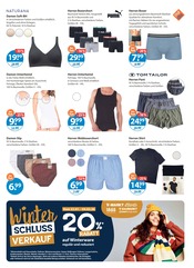 Aktueller V-Markt Prospekt mit Damenunterwäsche, "V-Markt einfach besser einkaufen", Seite 17