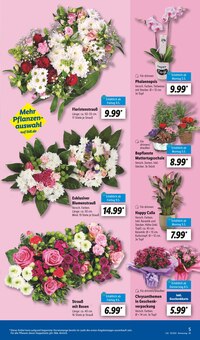 Blumen im Lidl Prospekt "LIDL LOHNT SICH" mit 68 Seiten (Hannover)