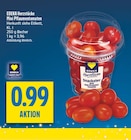 Aktuelle Tomaten Angebote bei diska in Dresden Aktuelles Mini Pflaumentomaten Angebot bei diska in Dresden ab 0,99 €