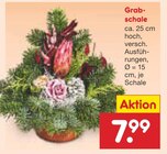 Aktuelle Pflege Angebote bei Netto Marken-Discount in Mannheim Aktuelles Grab-schale Angebot bei Netto Marken-Discount in Mannheim ab 7,99 €