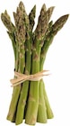 Spargel grün im Angebot bei EDEKA in Kamen Spargel grün Angebote von Spanien bei EDEKA Kamen für 3,33 €