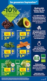 Salat Angebot im aktuellen Lidl Prospekt auf Seite 3