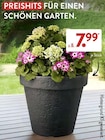 PREISHITS FÜR EINEN SCHÖNEN GARTEN Angebot in Barbelroth PREISHITS FÜR EINEN SCHÖNEN GARTEN im aktuellen Prospekt bei ALDI SÜD in Barbelroth