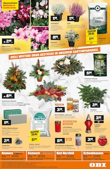 Blumenerde im OBI Prospekt "SUPER DEALS IM OKTOBER!" mit 4 Seiten (Erfurt)