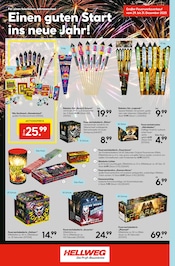 Aktueller Hellweg Prospekt mit Feuerwerk-Set, "Entscheiden Sie selbst", Seite 22