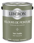 Peinture(d) murs, plafonds et boiseries Velours de peinture vert treillis Liberon 2,5 L - Liberon - Castorama à Martigues Peinture(d) murs, plafonds et boiseries Velours de peinture vert treillis Liberon 2,5 L - Liberon en promo chez Castorama Martigues à 54,90 €