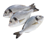Daurade en promo chez Supermarchés Match Villeneuve-d'Ascq à 11,99 €