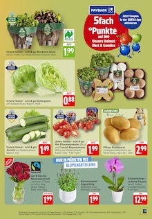 Salat im aktuellen EDEKA Prospekt (Stuttgart) Salat im EDEKA Prospekt "Aktuelle Angebote" mit 40 Seiten (Stuttgart)