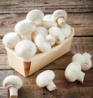 Champignon blanc dans le catalogue Netto