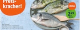 Aktuelle Lachs Angebote bei tegut in Frankfurt (Main) Aktuelles Bio-Dorade Angebot bei tegut in Frankfurt (Main) ab 2,49 €