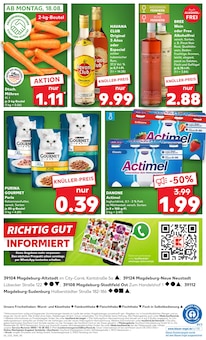 Katzenfutter im Kaufland Prospekt "Aktuelle Angebote" mit 58 Seiten (Magdeburg)