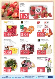 Orchidee Angebot & Preis im aktuellen Marktkauf Prospekt Orchidee Angebot im aktuellen Marktkauf Prospekt auf Seite 9
