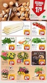 Blumen im REWE Prospekt in Sankt Augustin Aktueller REWE Prospekt mit Blumen, "Dein Markt", Seite 7