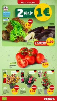 Blumen im Penny Prospekt "Wer günstig will, muss Penny." mit 38 Seiten (Freiburg (Breisgau))