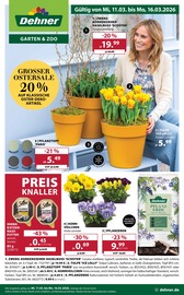 Aktueller Dehner Garten-Center Baumärkte Prospekt in Andernach und Umgebung, "Aktuelle Angebote" mit 16 Seiten, 11.03.2026 - 16.03.2026