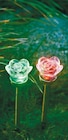 Solar-Blumenstecker von GARDEN DREAM für 3,99 € bei Netto mit dem Scottie im Angebot Solar-Blumenstecker von GARDEN DREAM im aktuellen Netto mit dem Scottie Prospekt
