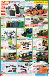 Aktueller Norma Prospekt mit Handschuhe, "Mehr fürs Geld", Seite 2
