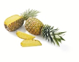 Ananas, lose im aktuellen Lidl Prospekt