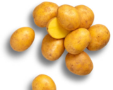 Aktuelle Kartoffeln Angebote bei Kaufland in Wuppertal Aktuelles Speisekartoffeln XXL Angebot bei Kaufland in Wuppertal ab 2,49 €