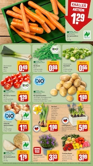 Gartenmöbel im REWE Prospekt "Dein Markt" mit 34 Seiten (Fürth)