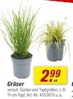 toom Baumarkt Mühlacker Prospekt mit  im Angebot für 2,99 €