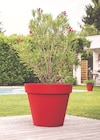 Pot toscane dans le catalogue Espace Emeraude
