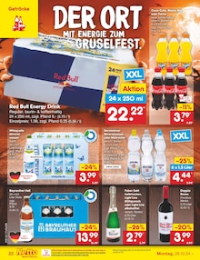 Red Bull im Netto Marken-Discount Prospekt "Aktuelle Angebote" mit 57 Seiten (Neumarkt (Oberpfalz))