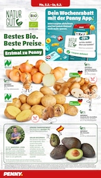 Pilze Angebot im aktuellen Penny Prospekt auf Seite 4