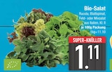 Bio-Salat von  im aktuellen EDEKA Prospekt für 1,11 €