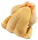 Frische Maishähnchen Angebote bei REWE Oldenburg für 0,77 €