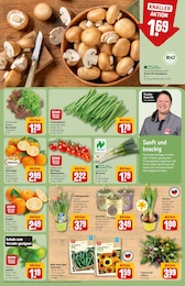 REWE Blumen im Prospekt 