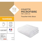 SUR TOUTES LES COUETTES - TEX HOME en promo chez Carrefour Le Chesnay