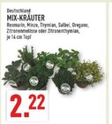Aktuelle Rosmarin Angebote bei Marktkauf in Remscheid Aktuelles MIX-KRÄUTER Angebot bei Marktkauf in Remscheid ab 2,22 €