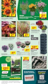 Aktueller toom Baumarkt Prospekt mit Gartenerde, "Respekt, wer's selber macht.", Seite 5