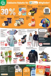 Tulpen im GLOBUS Prospekt in Weimar Aktueller GLOBUS Prospekt mit Tulpen, "Aktuelle Angebote", Seite 26