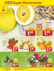 Tomaten im aktuellen Netto Marken-Discount Prospekt (Duisburg) Tomaten im Netto Marken-Discount Prospekt "Aktuelle Angebote" mit 44 Seiten (Duisburg)